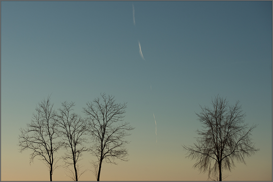 Una virgola tra i sussurri del vento