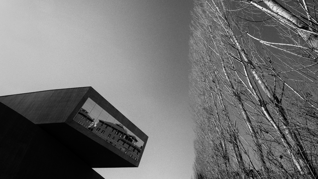 Maxxi - Interpretazione in bianconero