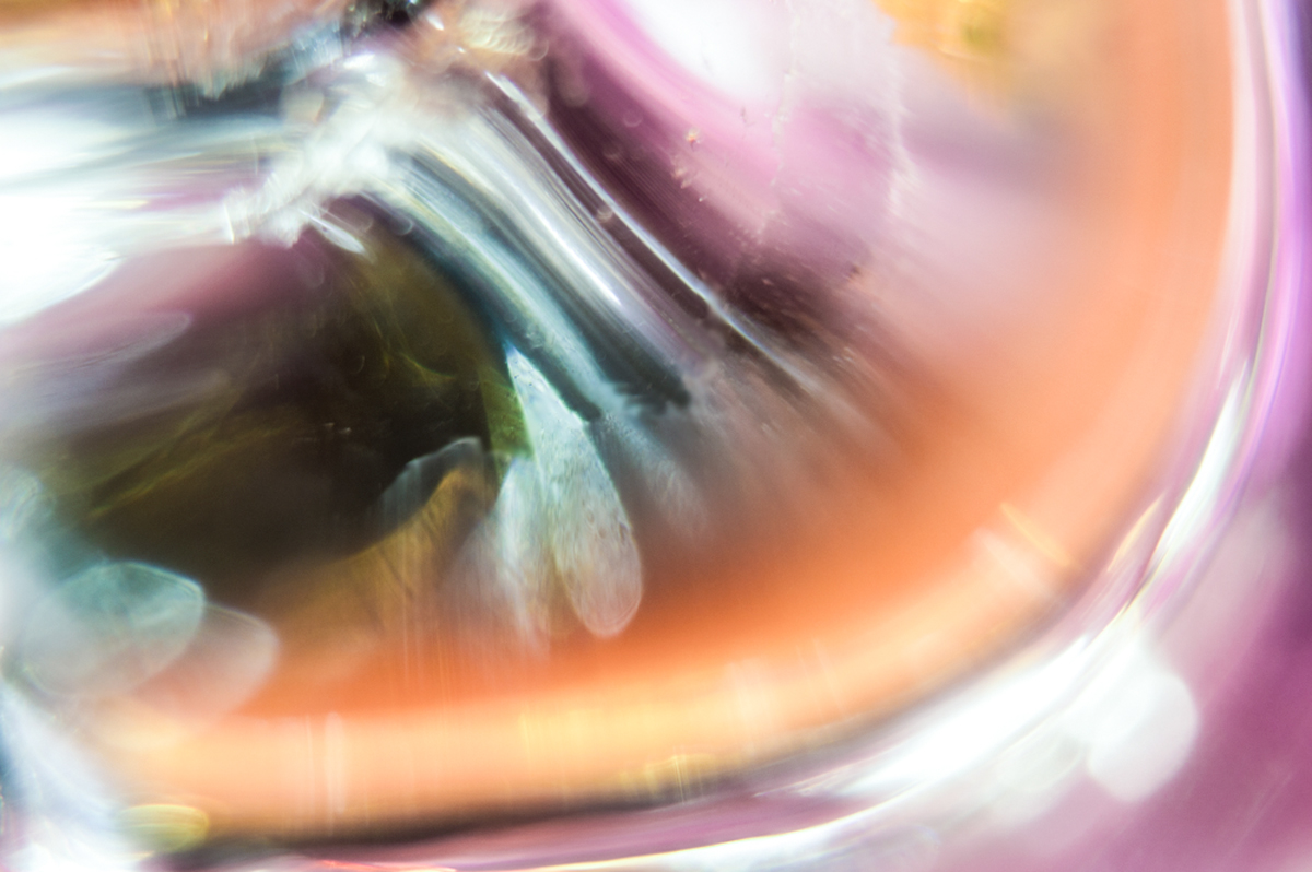 calo di zuccheri - 2