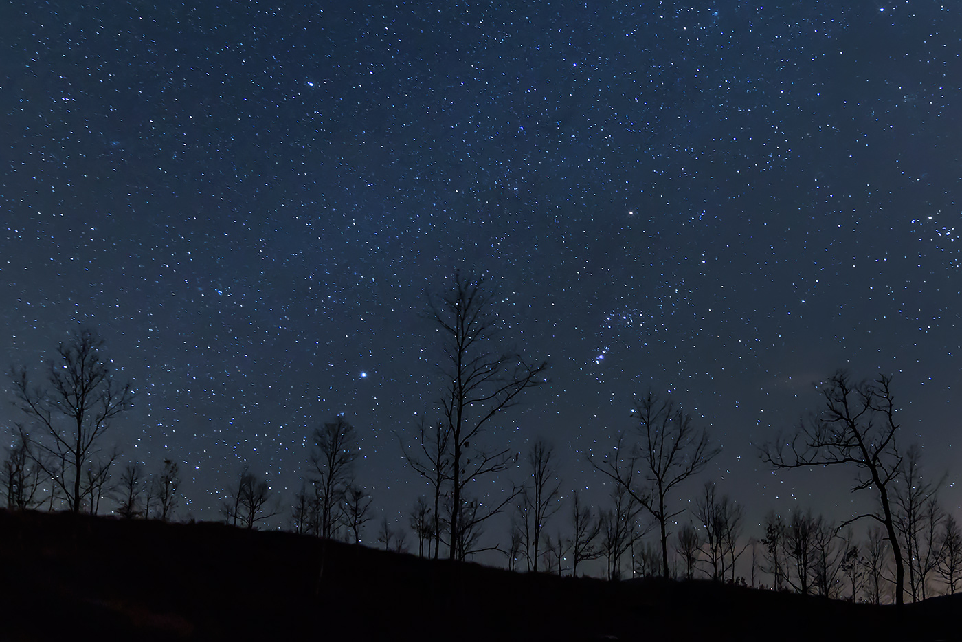 Le creature della notte...