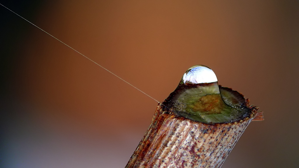 *** funivia per la SPA***