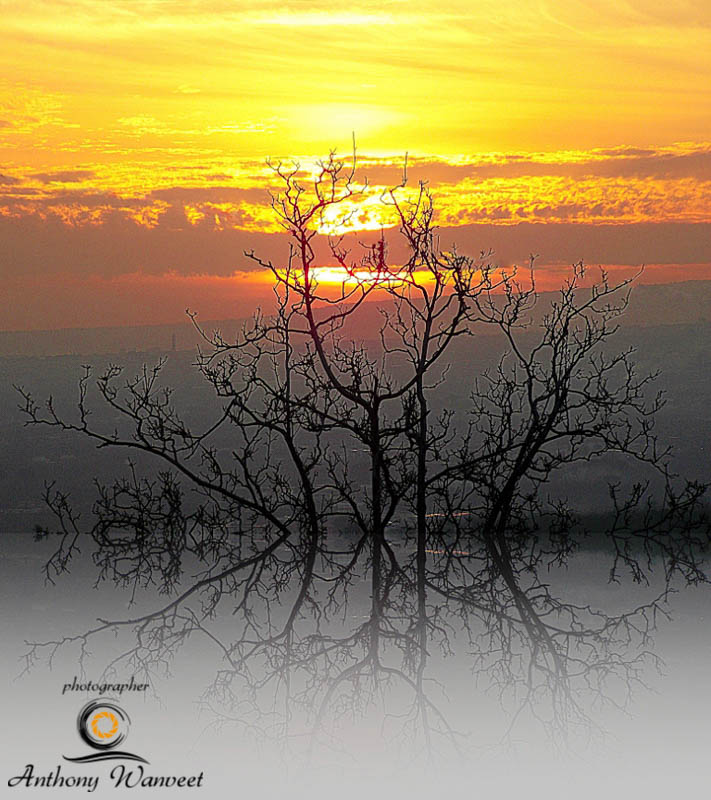 L'impressionismo del tramonto