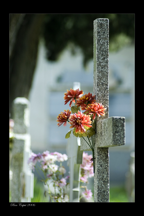 Cimitero monumentale