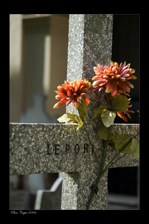 Cimitero monumentale