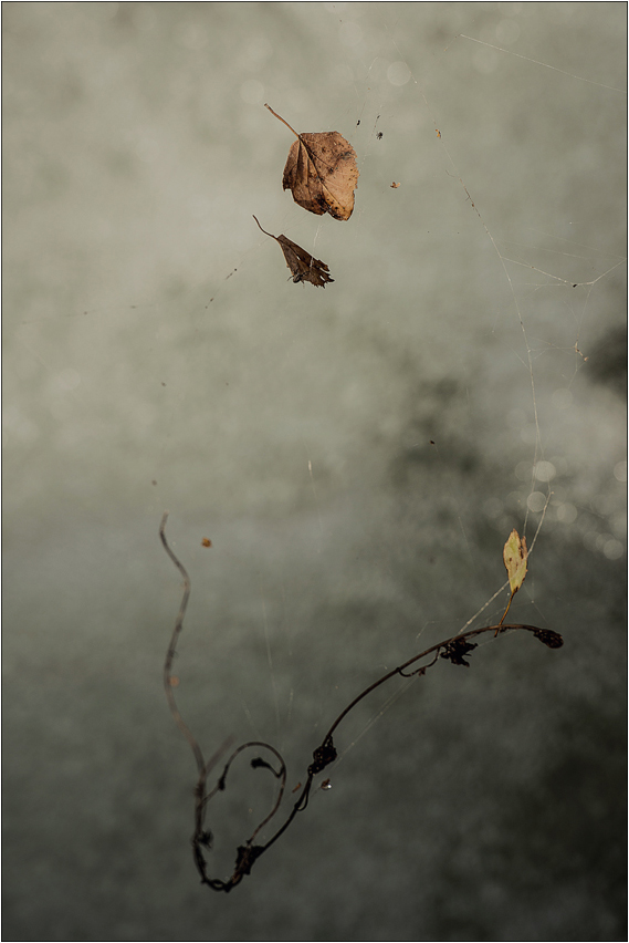 Sospese mentre tutto scorre...