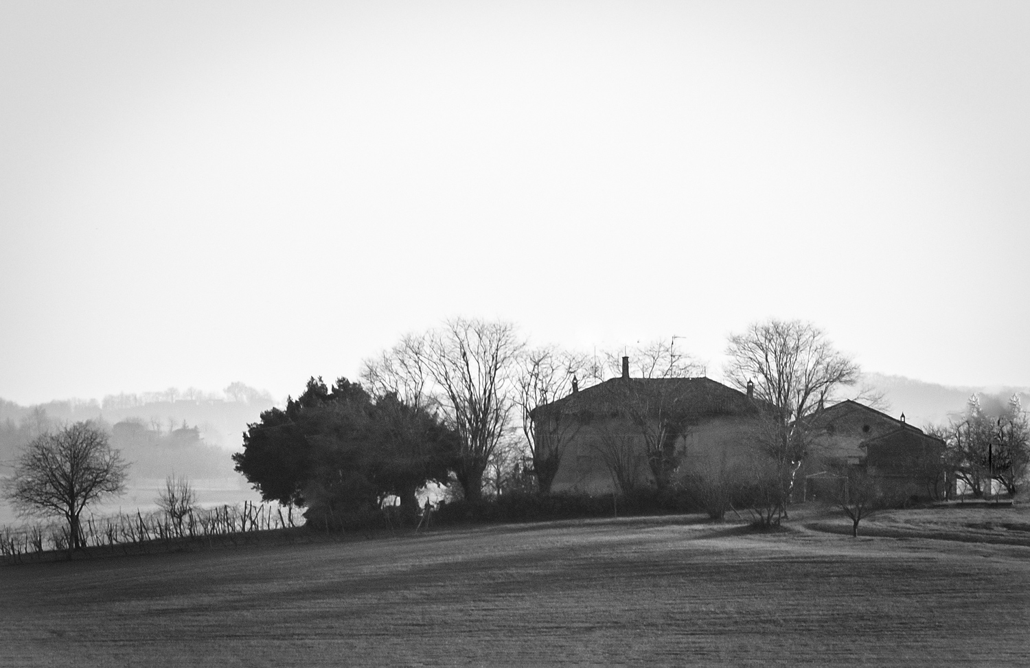 aspettando primavera