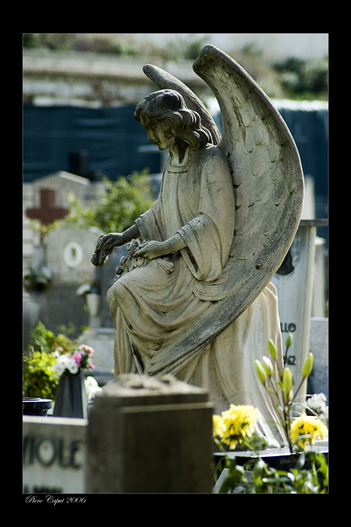 Cimitero monumentale