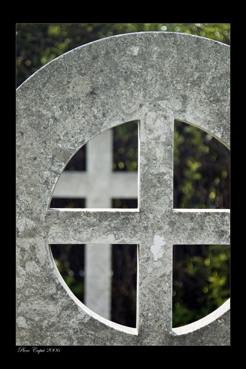 Cimitero monumentale