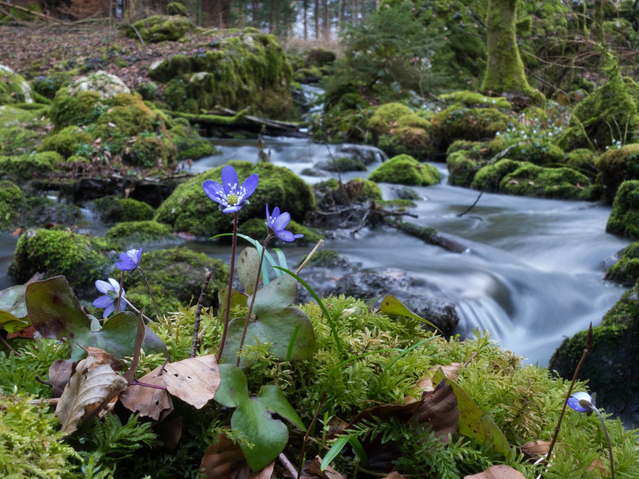 Primi segnali 2 ....