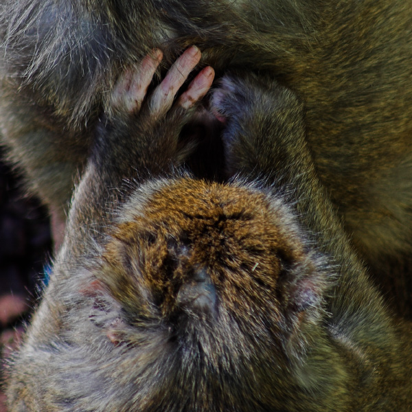 e poi dicono che non siamo parenti!!!!!
