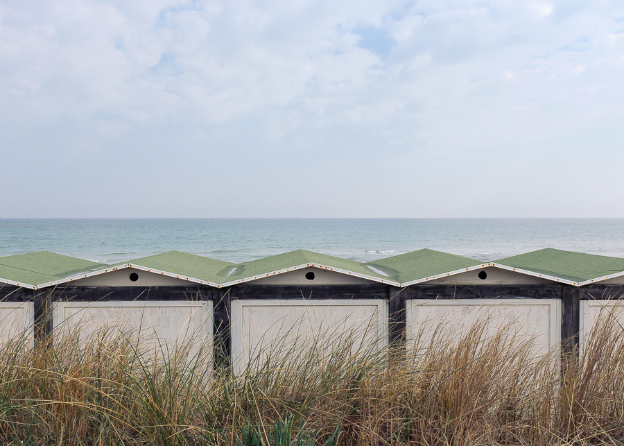 Spiaggiabella - 03/2015