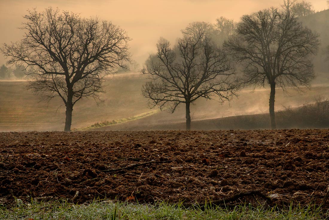 Campagna Mugellese 3