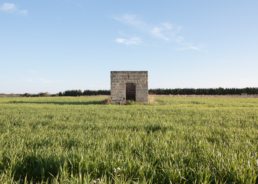 S.S. Copertino/Carmiano - 03/2015_2