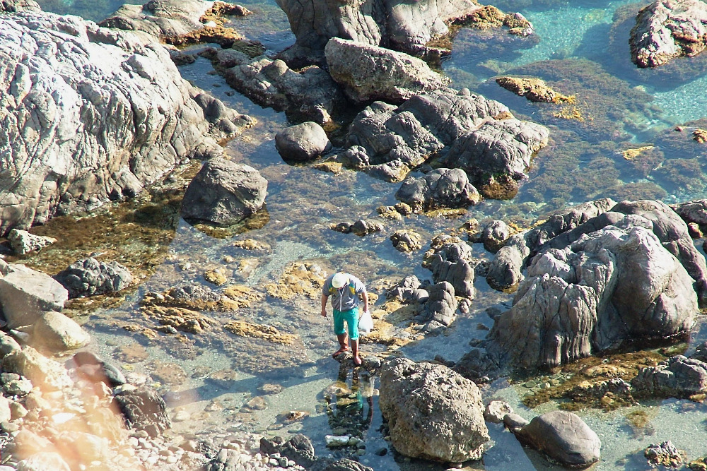 Alla ricerca di molluschi ohh.. Mario... che diceee?