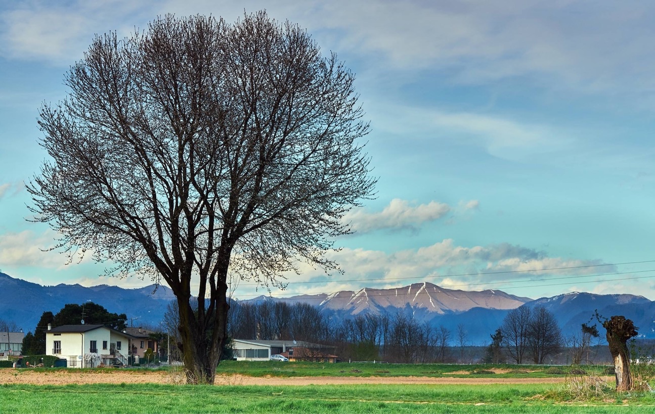 Camminando in campagna