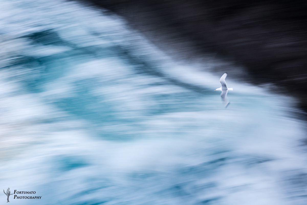 Tra il Mare e la Terra