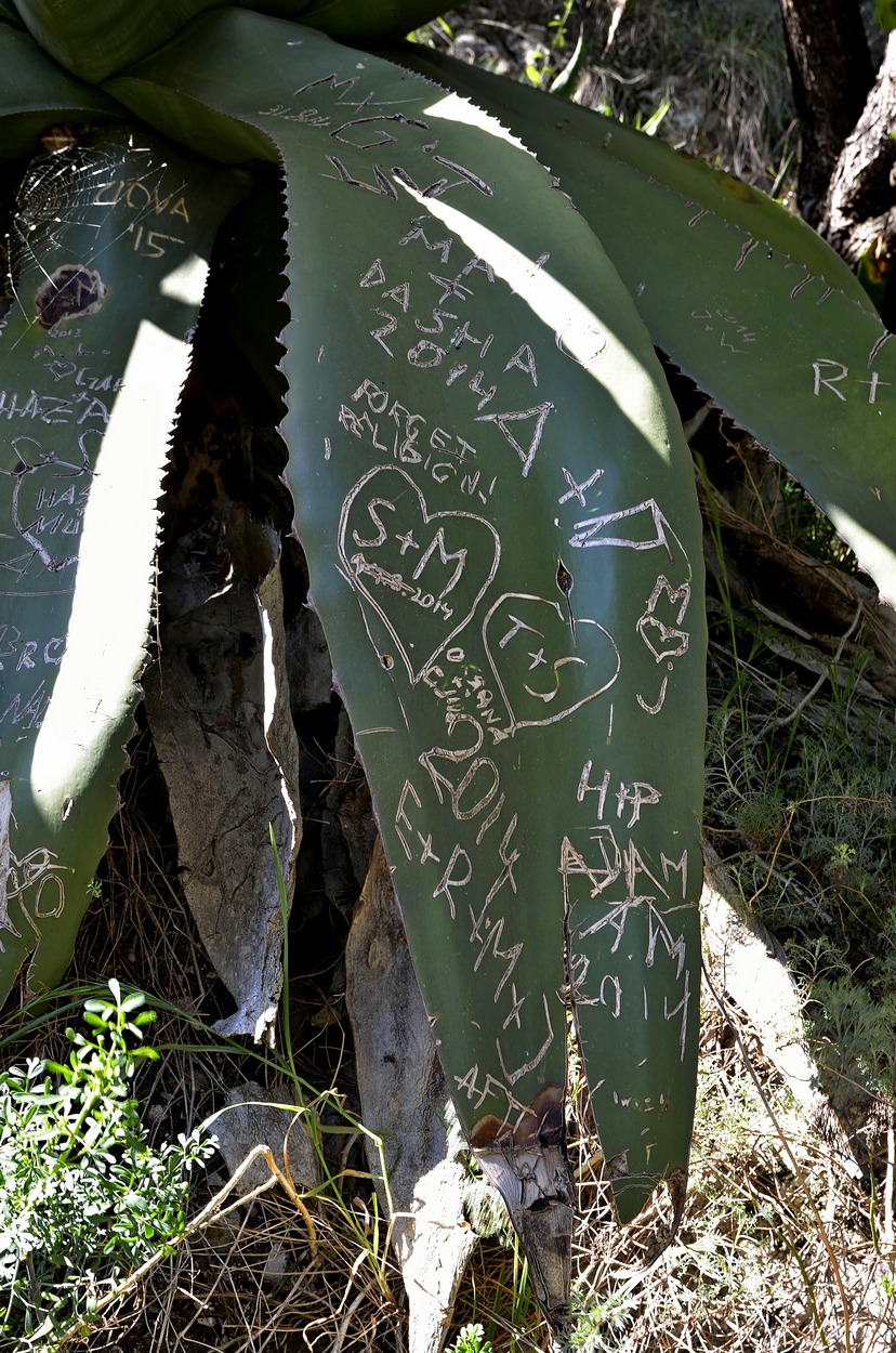 Stupidit� senza limiti