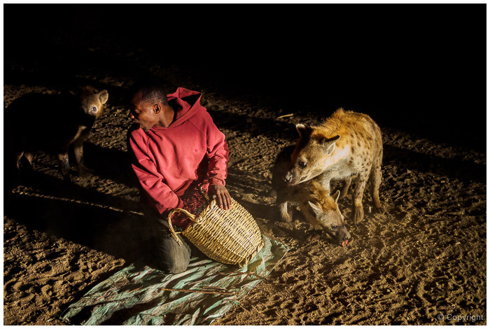 L'uomo che sfamava le iene, Harar 2015