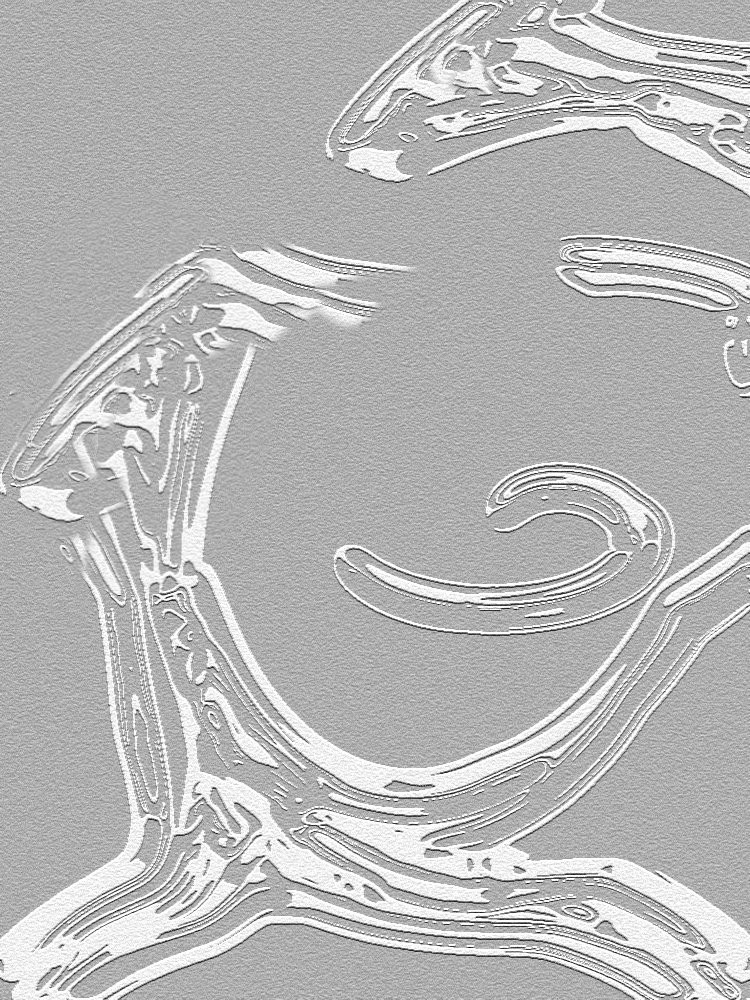 ...... su cartoncino