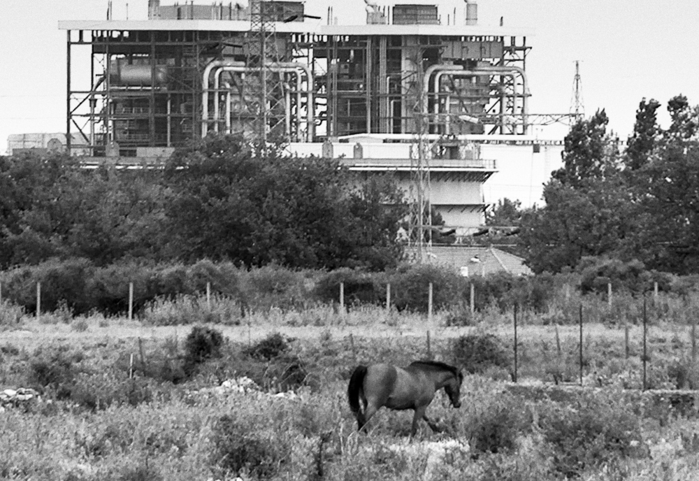 Cavallo e Industria
