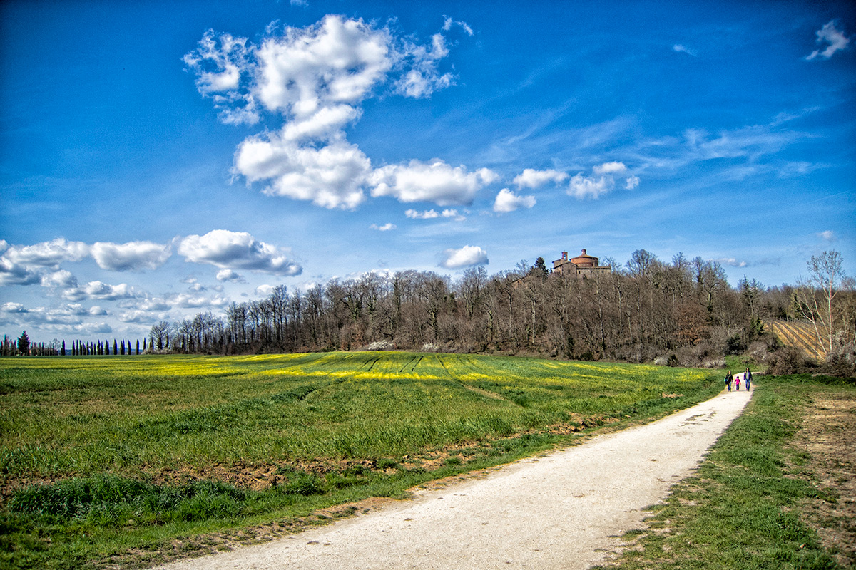 Sulla strada di San Galgano