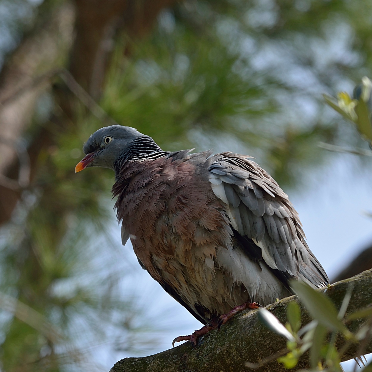Non farlo!!!sono tutto in disordine!