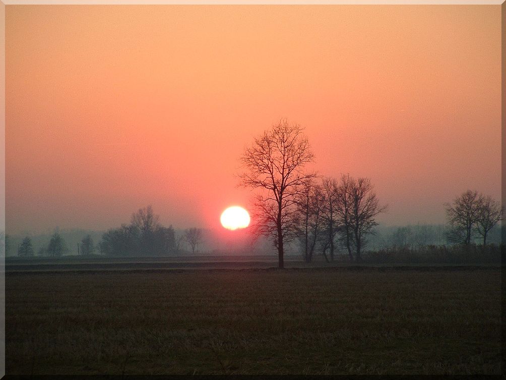 parco del ticino al tramonto