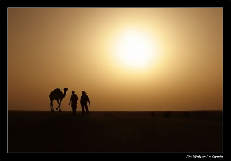 :: Sagome Sahariane ::