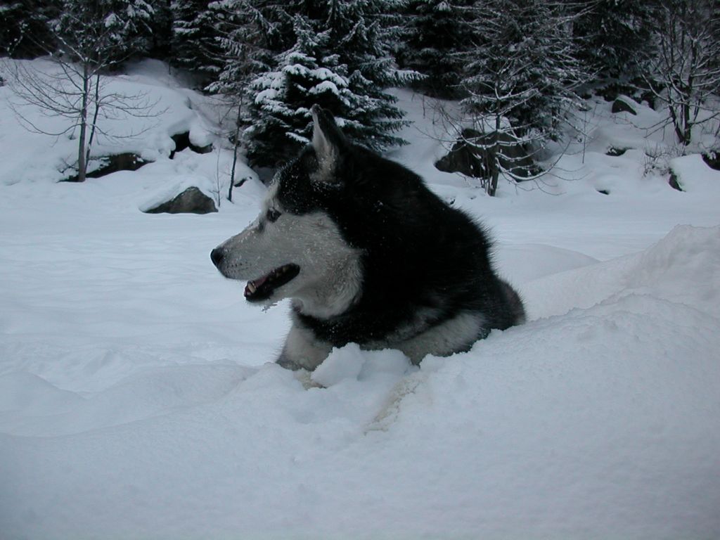 Finalmente..qui sto bene!