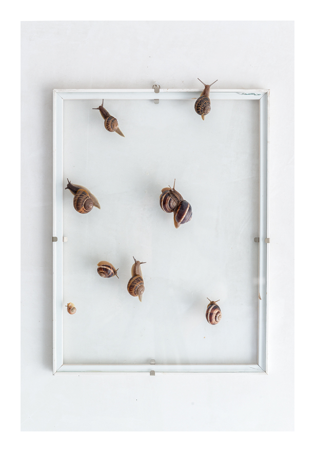 elogio della lentezza