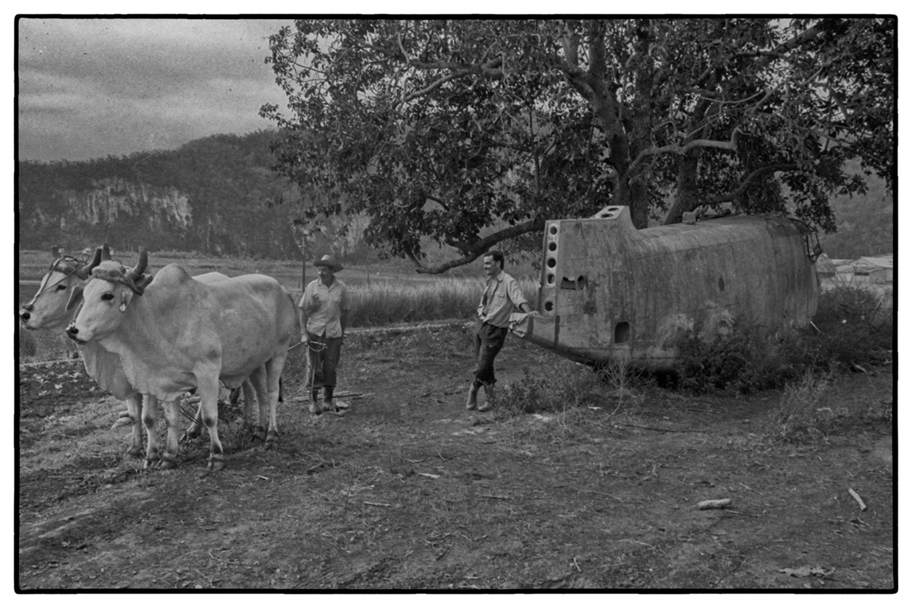 Al campo, Vinales Cuba 2002