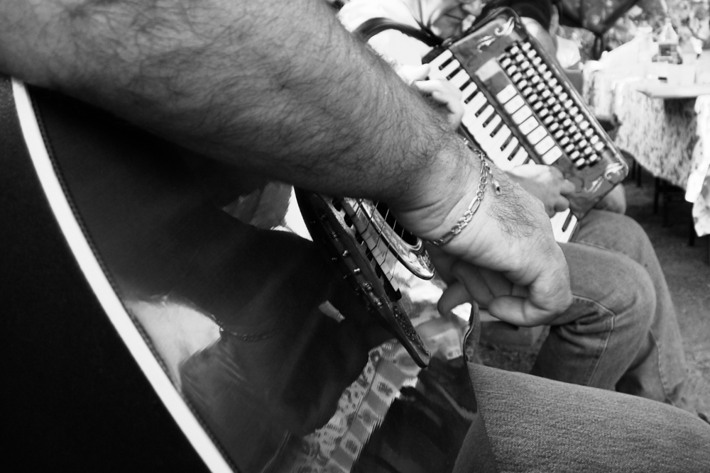 Chitarra e Fisarmonica per il picnic