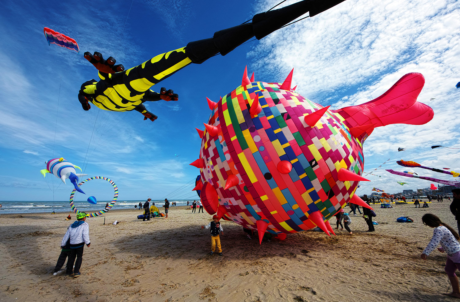 Il dragone e il PescePalla ..