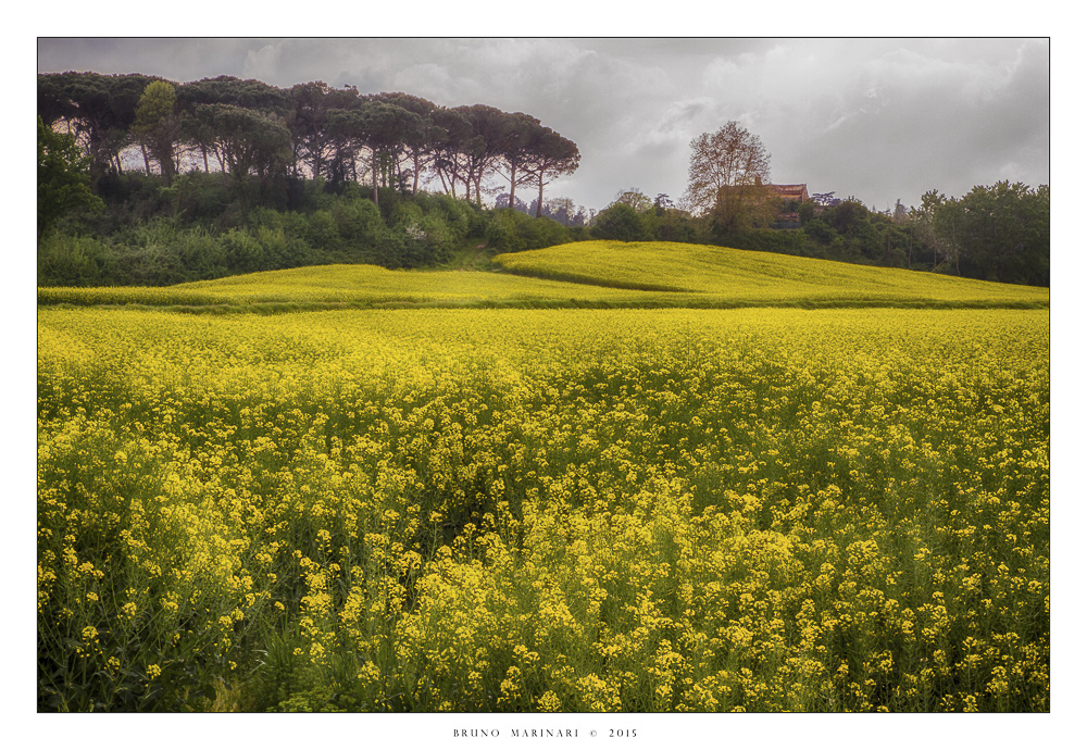 E' arrivata la primavera