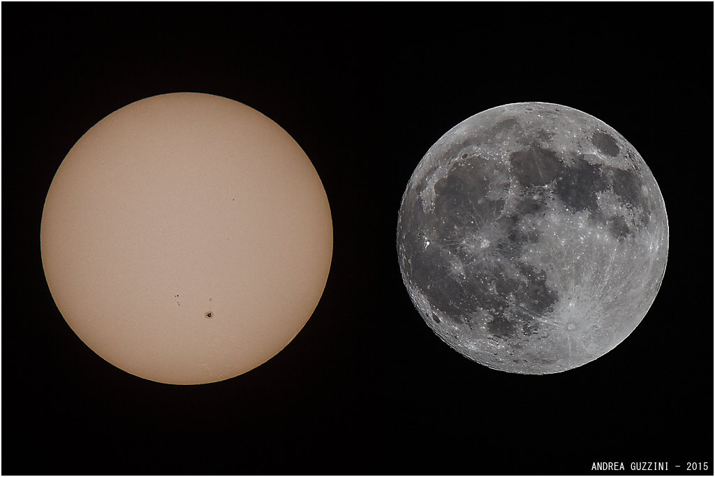 Nessuno � perfetto