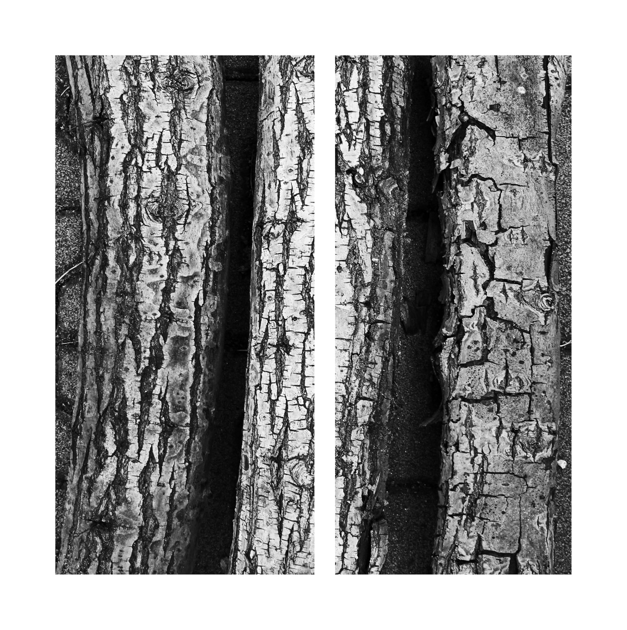 Sensorial material - Wood