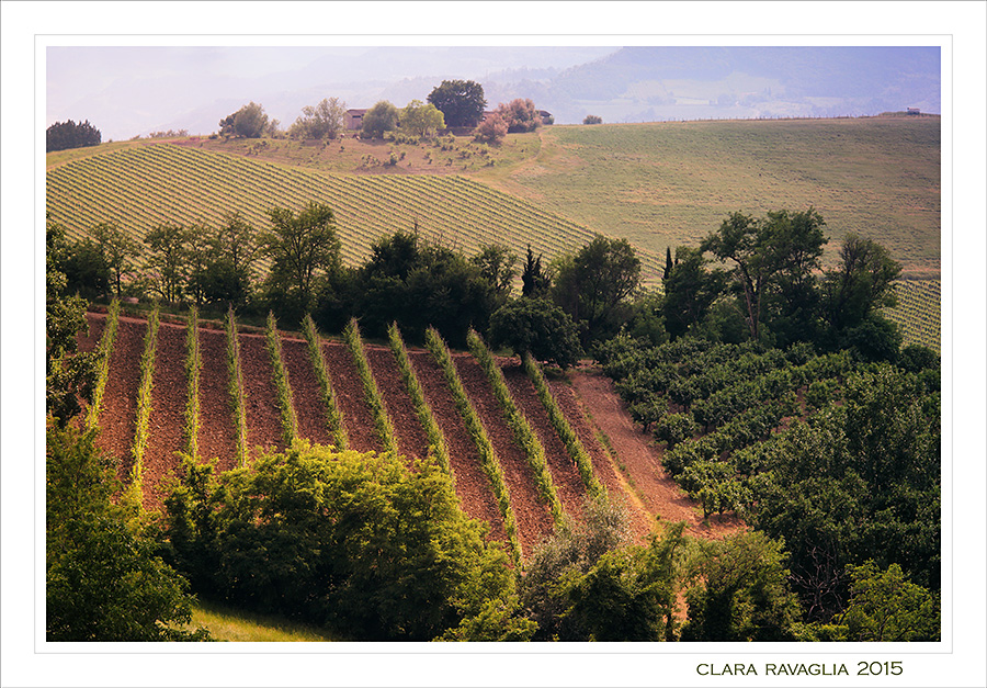Regali di luce... in collina