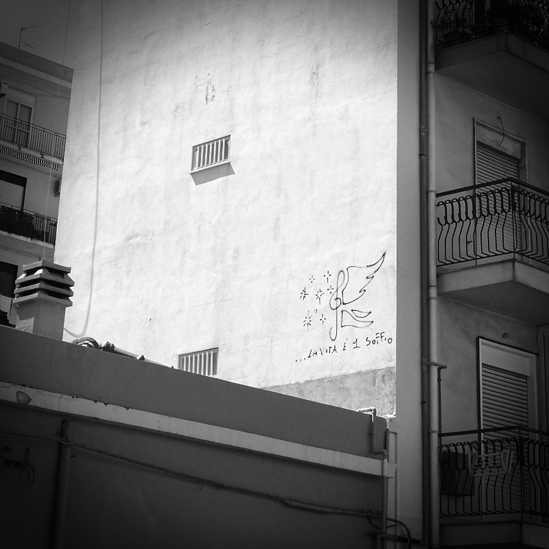 La vita � un soffio