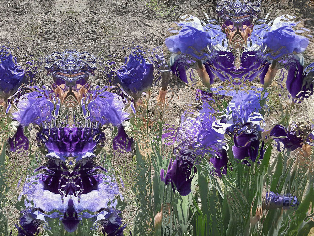 ormai anche i gladioli si incazzano.............