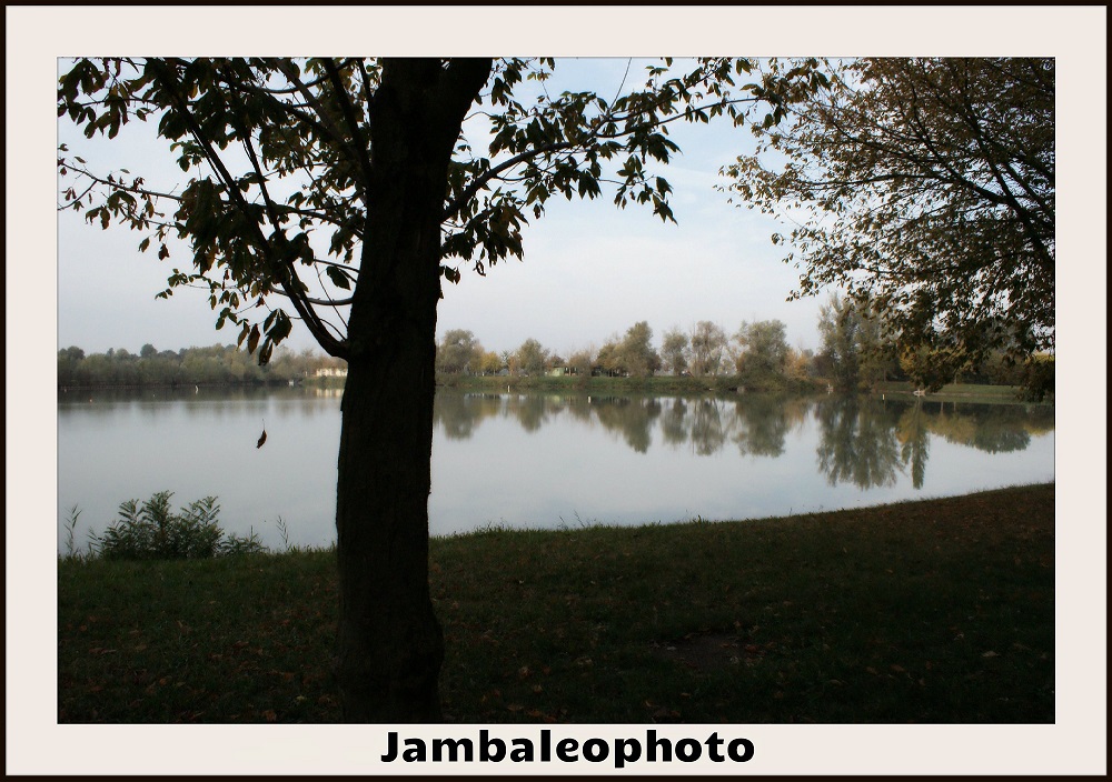 Laghetti Di Campogalliano Modena