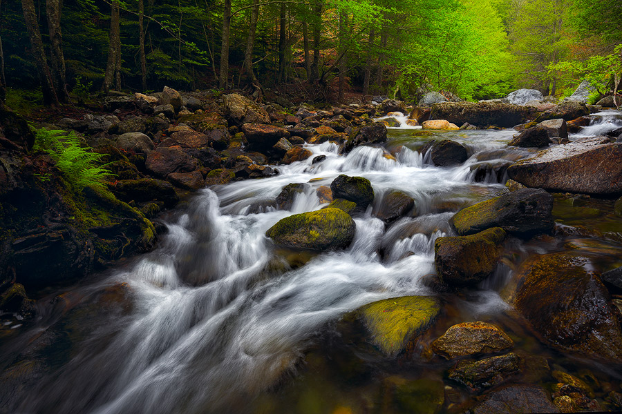 Torrente del Menta - Aspromonte
