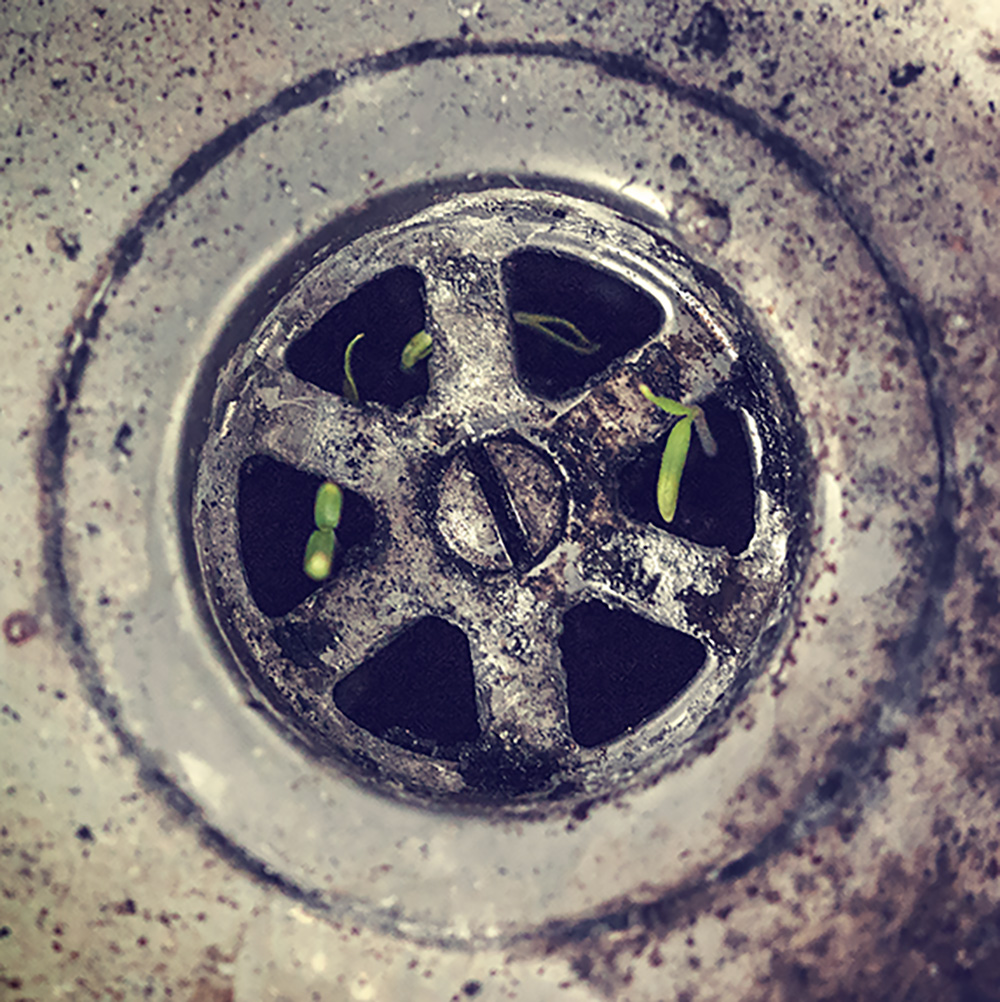 Dove c�� una grande volont� non possono esserci grandi difficolt�