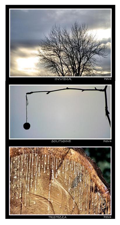 sensazioni di natura