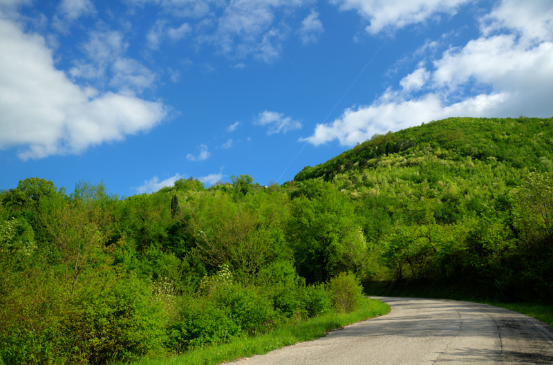 406 free4u  : Nature