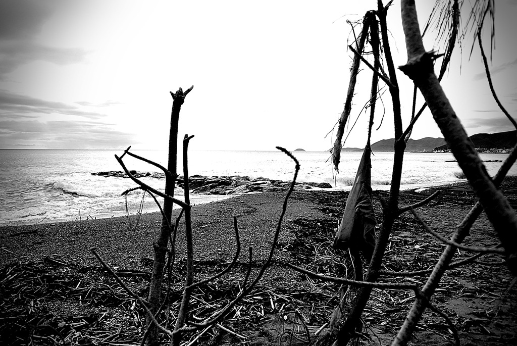 ci� che rimane dopo la tempesta