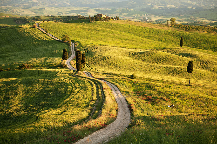 The gladiator pathway