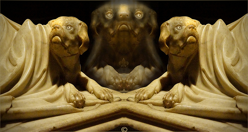 Omaggio al cane fedele Lucca � 2015