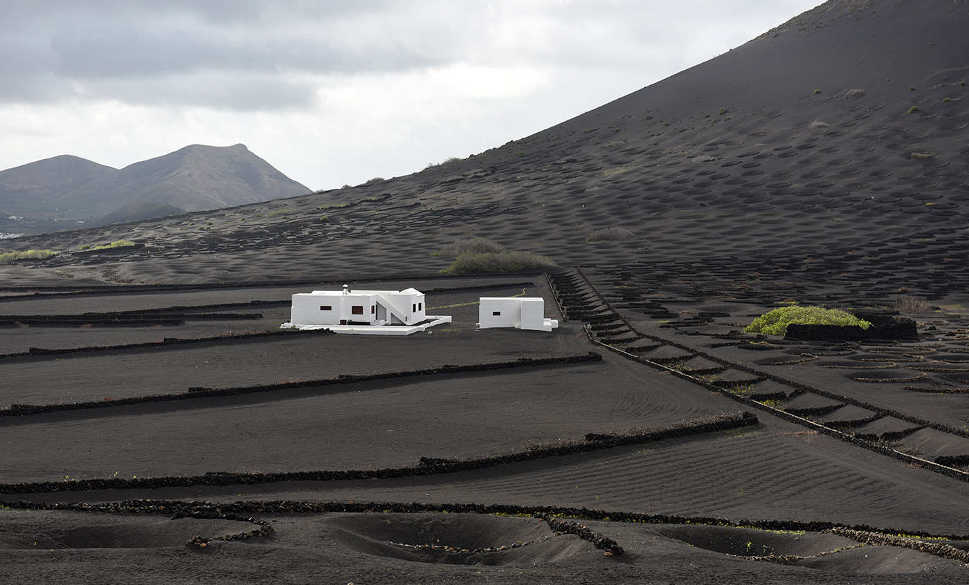 LE VIGNE - LANZAROTE