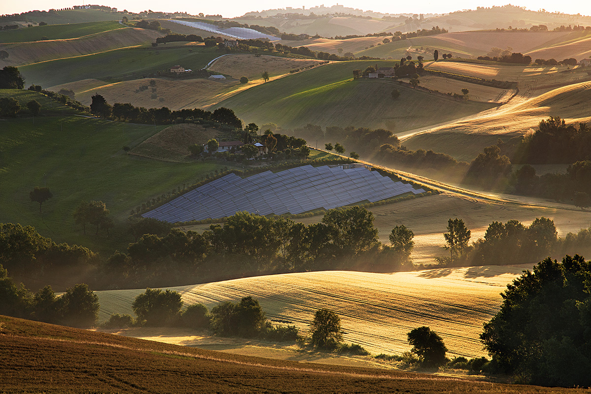 colture di diverso tipo