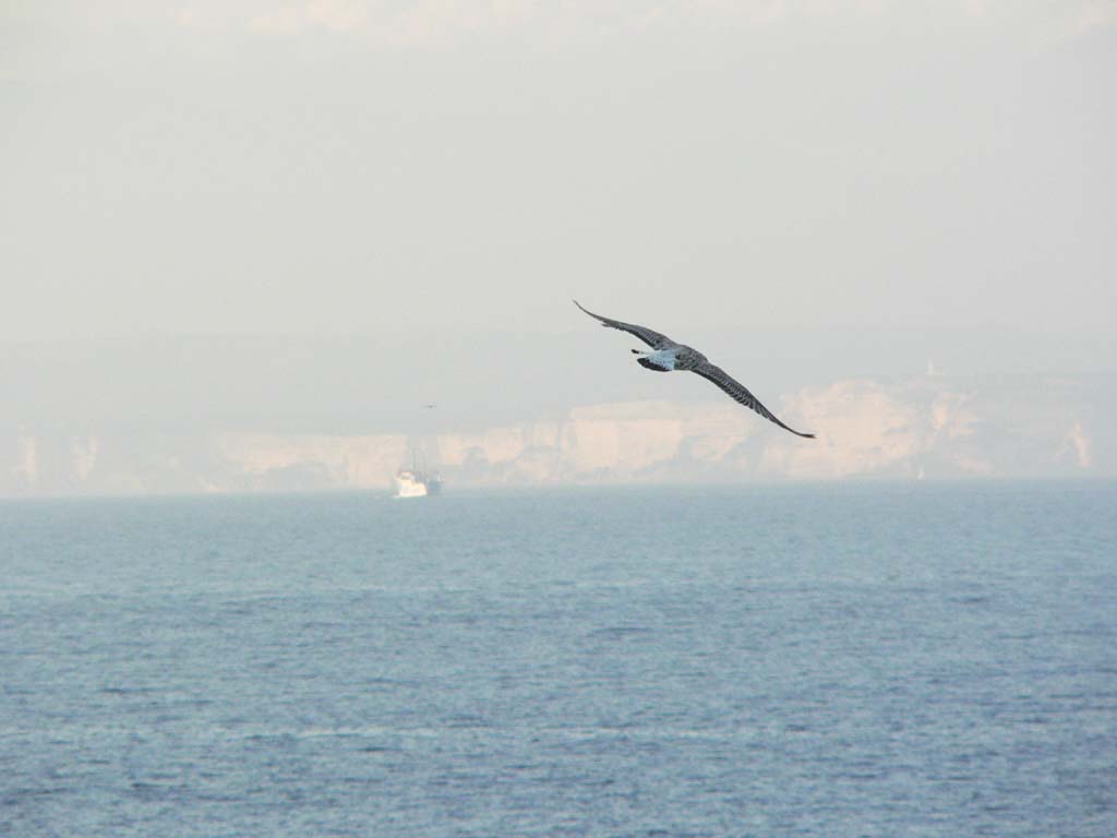 la partenza del gabbiano